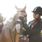 A woman in equestrian attire gently handling her horse, illustrating planning for a horse’s future care through a will or horse-care trust.
