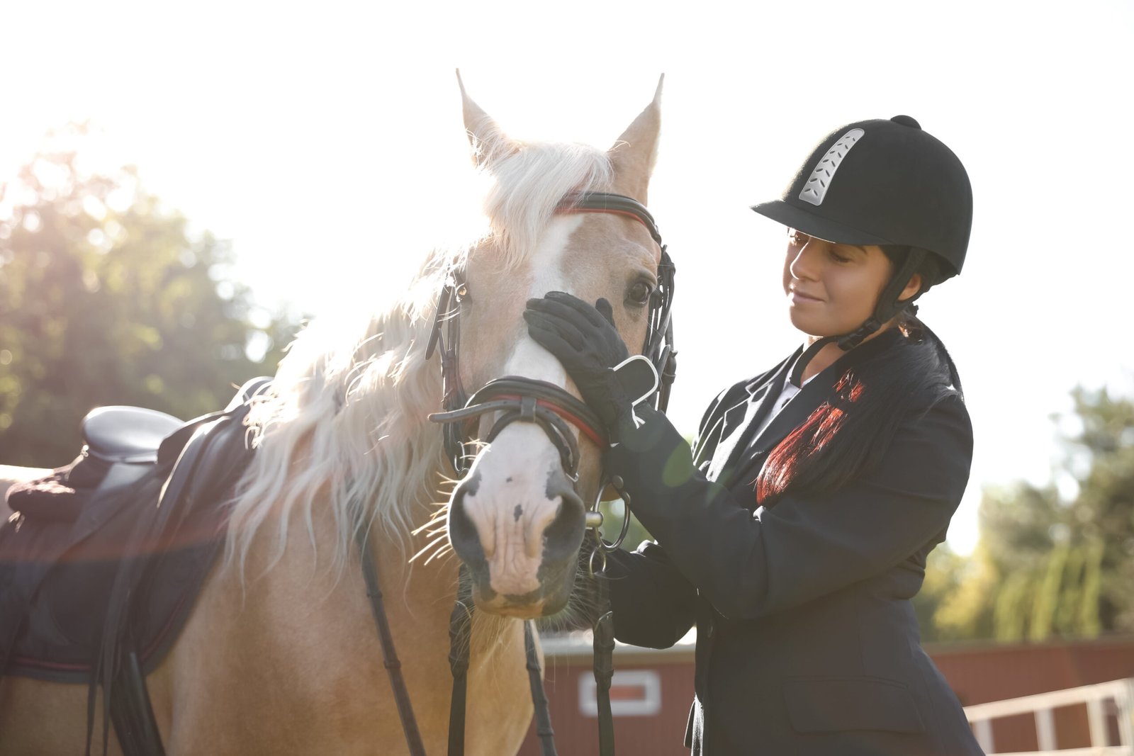 A woman in equestrian attire gently handling her horse, illustrating planning for a horse’s future care through a will or horse-care trust.
