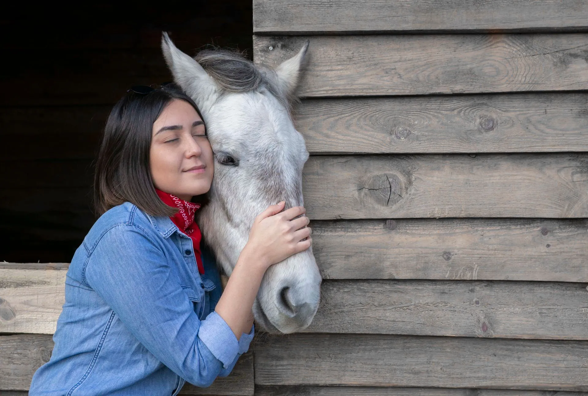 Horse owner gently embracing a white horse beside a wooden stable, illustrating the bond horse trust planning aims to protect.